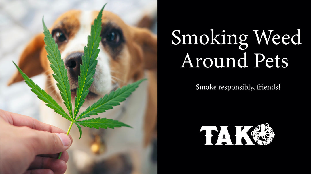 Smoking Weed Around Pets