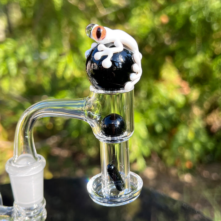 Black and White Frog Terp Slurper Marble Set Accessory Beezy Glass   