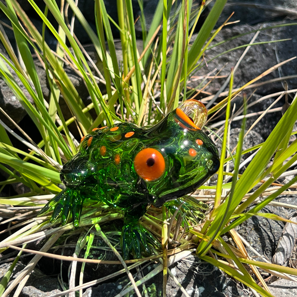 Frog Pipe Glass Pipe TG   