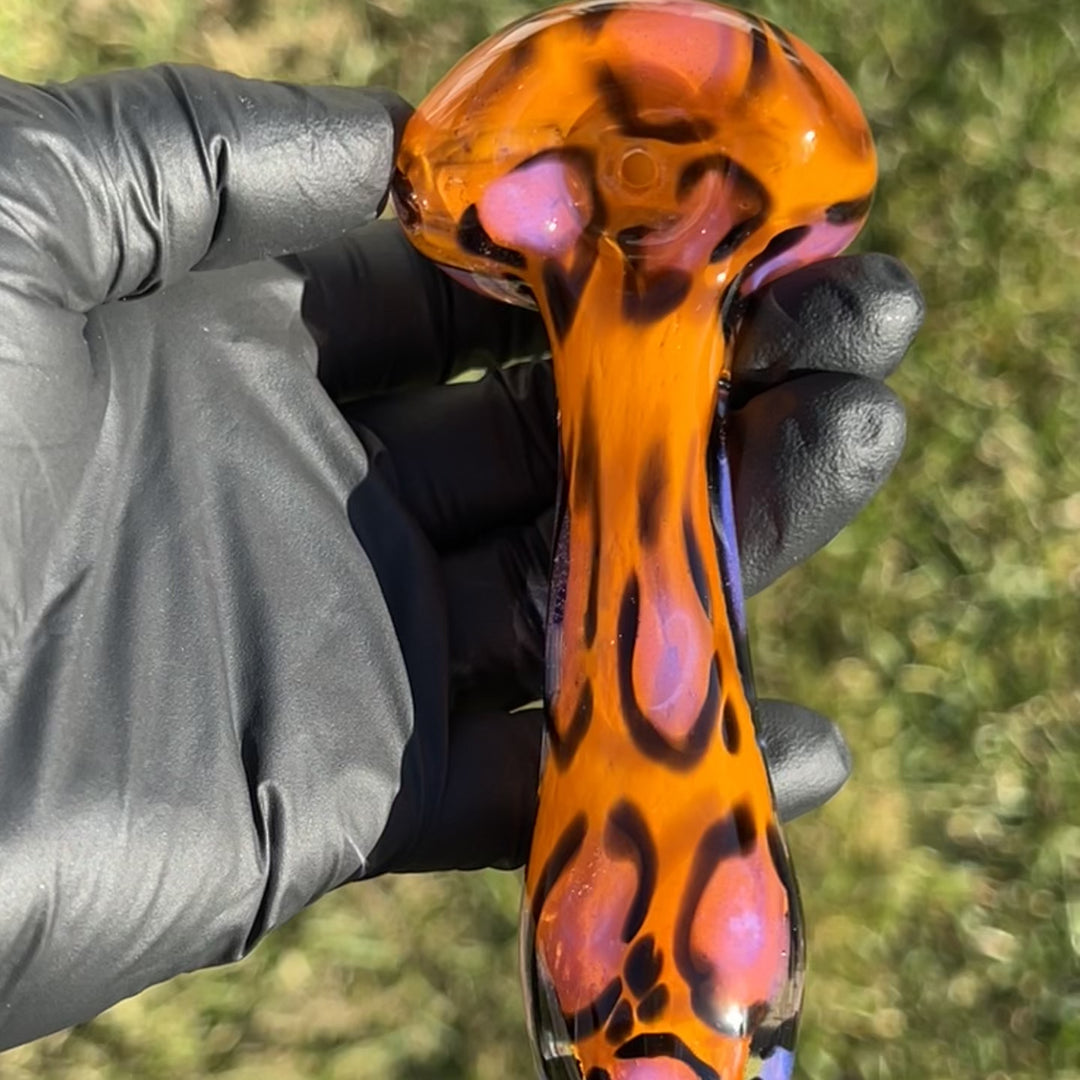 Leopard Pipe