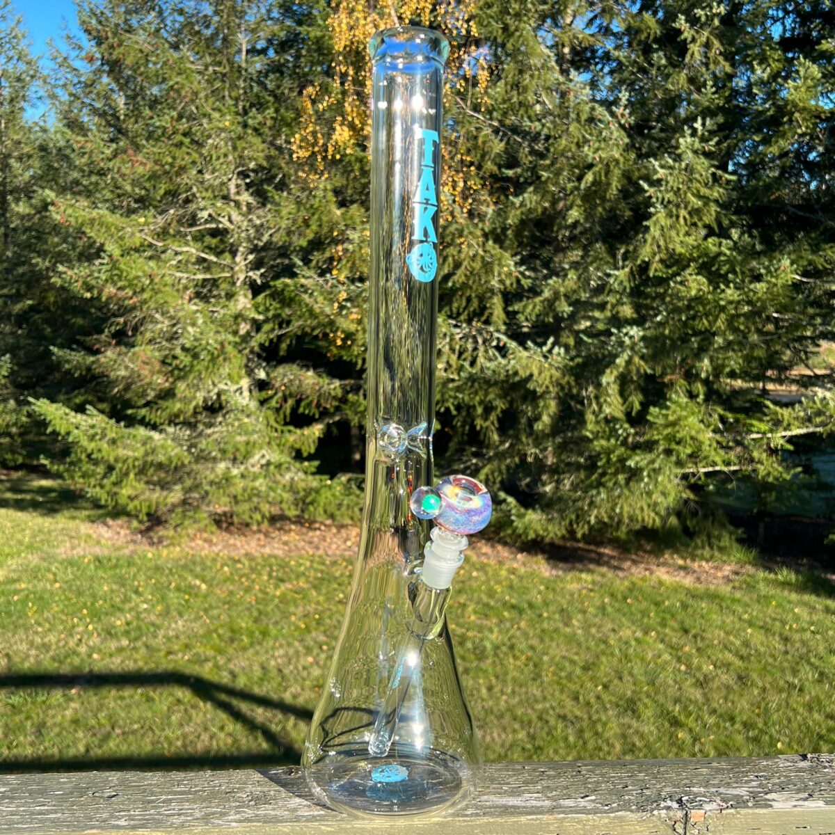 IMG_4289_39488d15-e7d0-4929-aded-437191262b0e