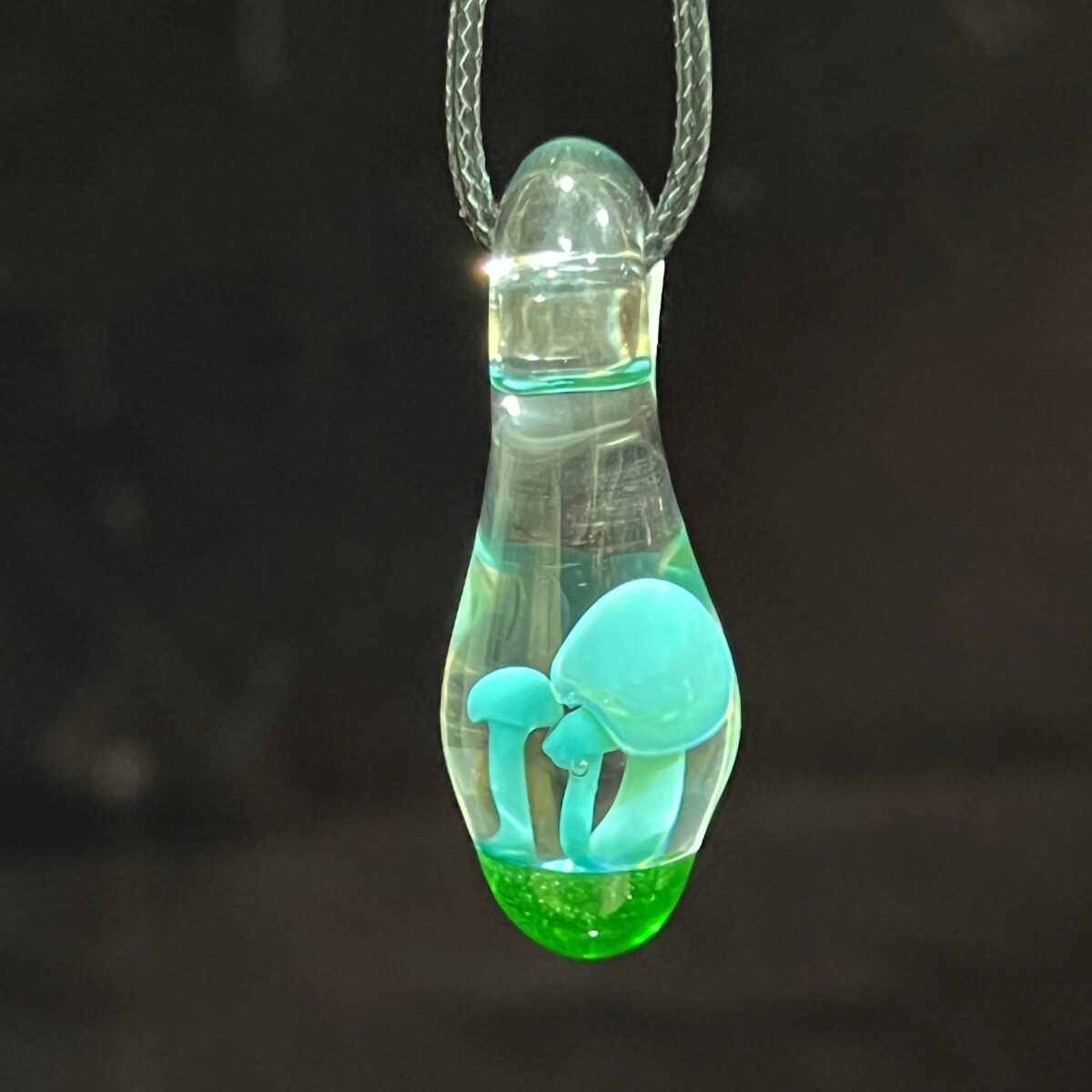 IMG_6993_e7be7990-1294-44bd-bbe0-fe25a913027e