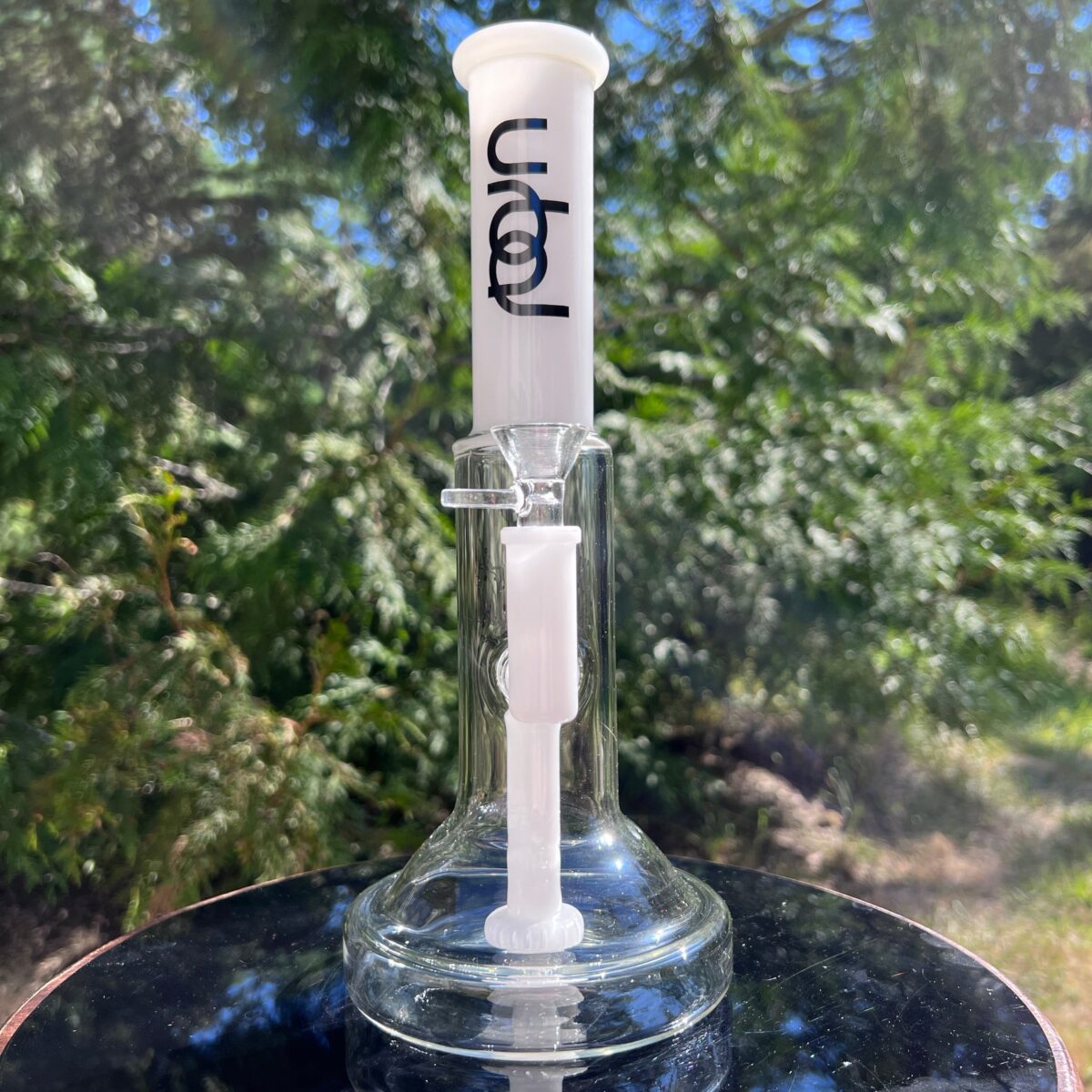 IMG_4146_8ae075f7-d71d-4cce-a953-94d6e0d0a52b