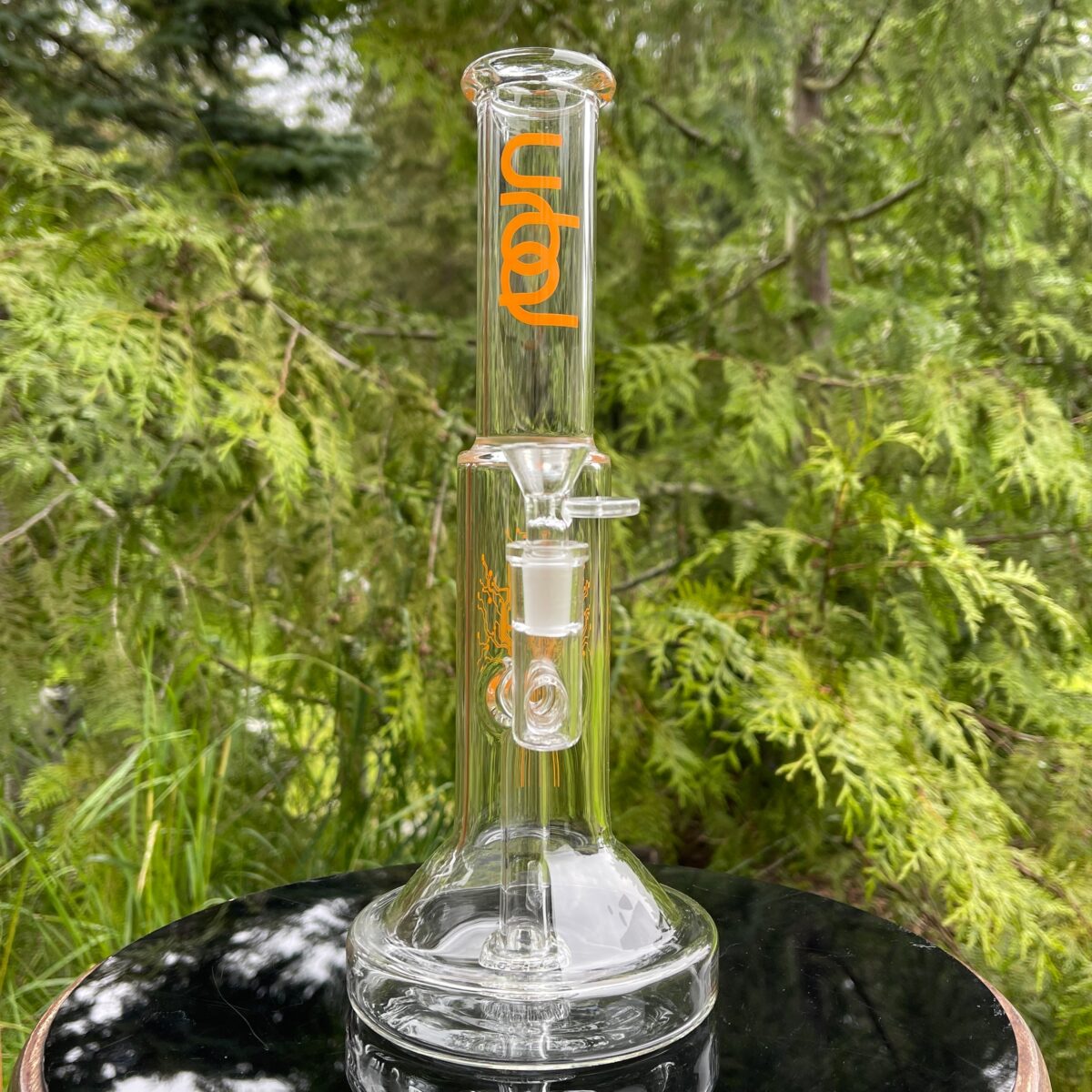 IMG_4294_10b5a7e1-685b-45c3-ba69-113526f92555