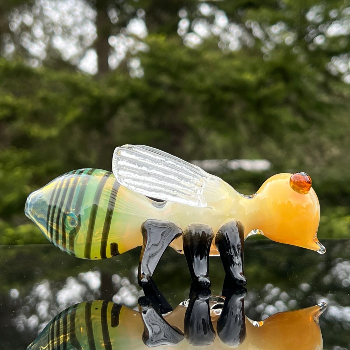 IMG_8053_4df155a5-6c43-44a8-8f49-d3aedbd2691d