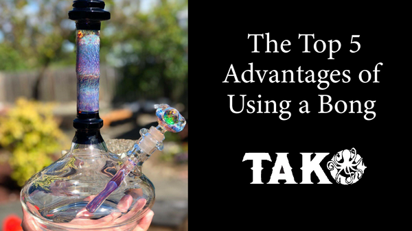 Glass Bongs - Tako Glass