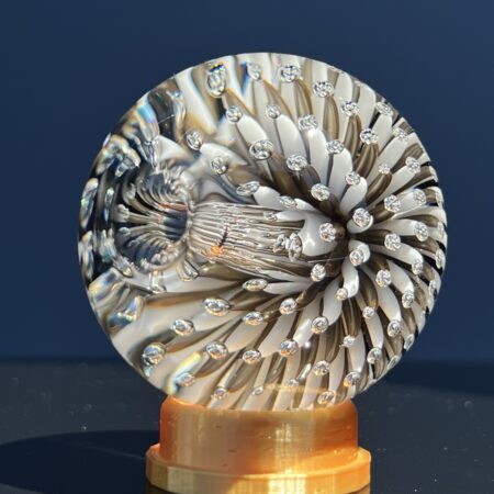 Anemone Marble Pipe