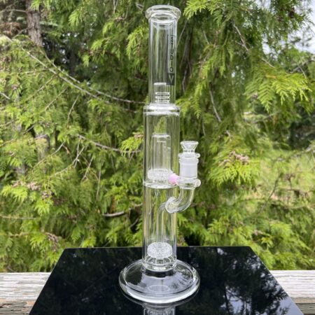 Studio V Double Circle Perc Straight Bong All Pipes and Accessories Tako Glass Studio V Double Circle Perc Straight Bong
