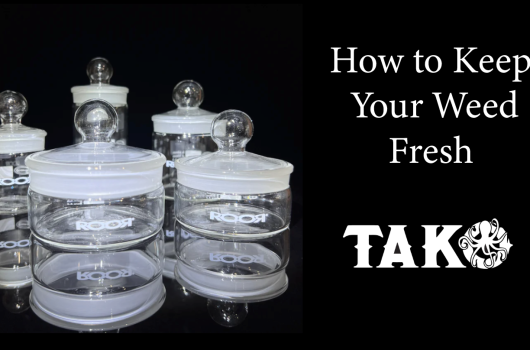 How_to_Keep_Your_Weed_Fresh